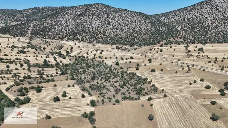 Asfalt Yola Yakın 985 M² Müstakil Tarla! Güneysınır Kurukavak'ta — fotoğraf 10