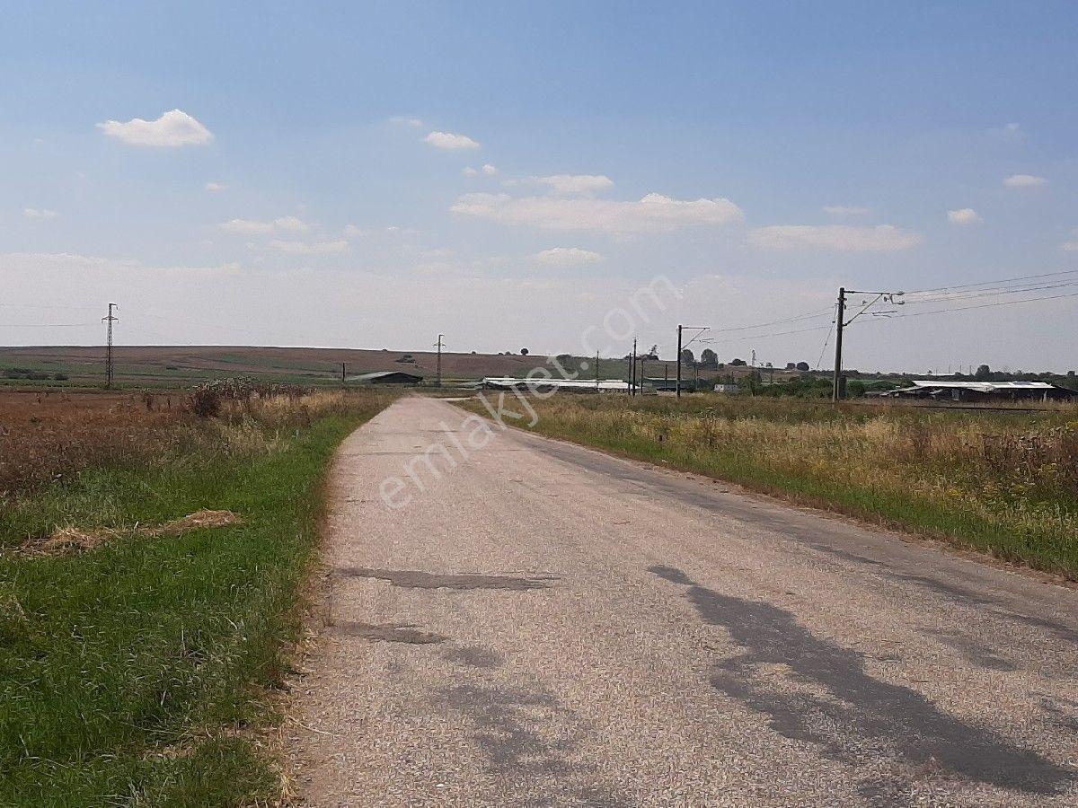 Lüleburgaz Ovacık'da 367 M2 — fotoğraf 2