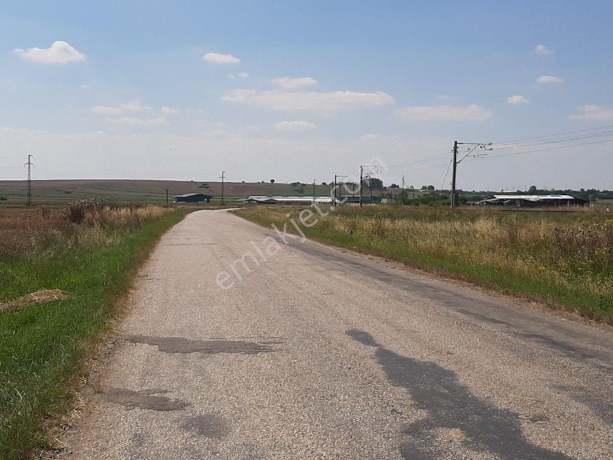 Lüleburgaz Ovacık'da 367 M2 — fotoğraf 4