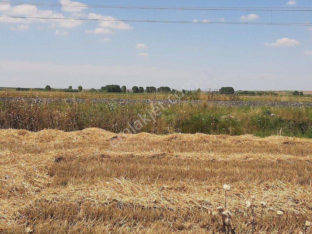 Lüleburgaz Ovacık'da 367 M2 — fotoğraf 5