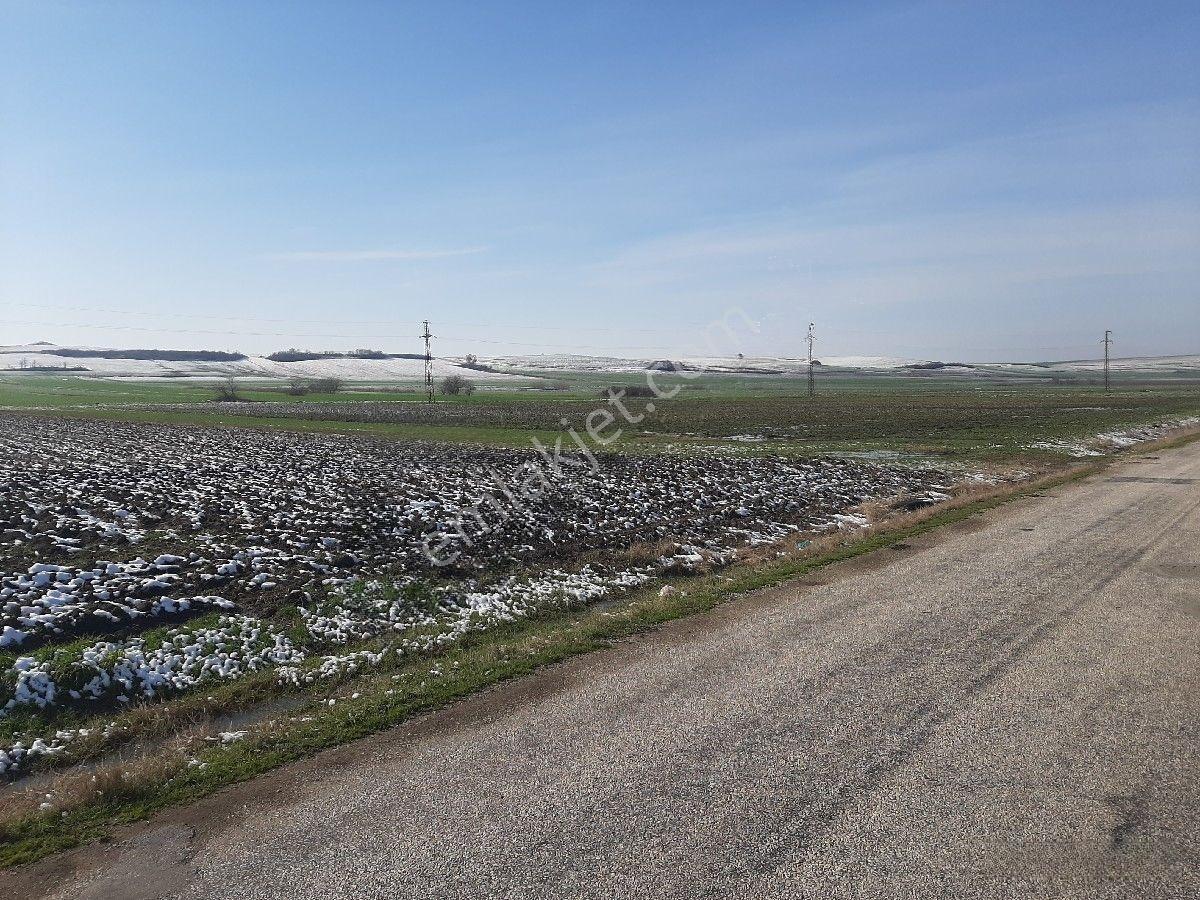 Lüleburgaz Ovacık'da 367 M2 — fotoğraf 9