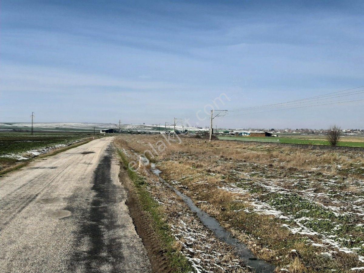 Lüleburgaz Ovacık'da 367 M2 — fotoğraf 10