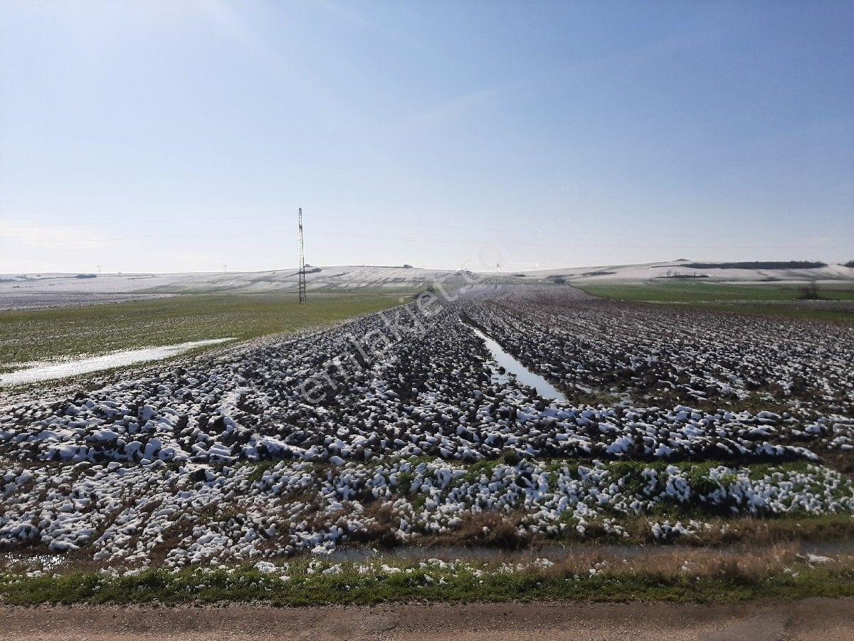 Lüleburgaz Ovacık'da 367 M2 — fotoğraf 11