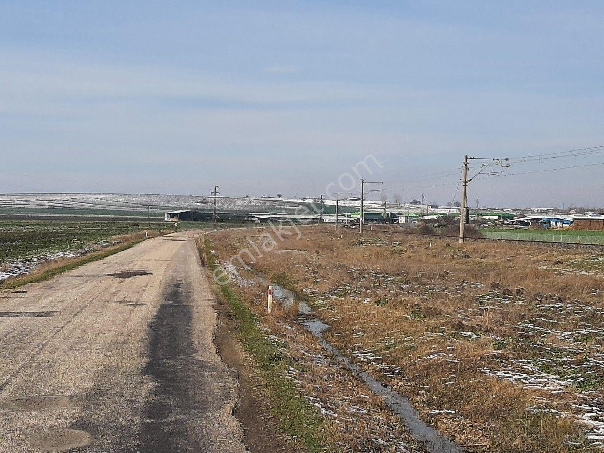 Lüleburgaz Ovacık'da 367 M2 — fotoğraf 17