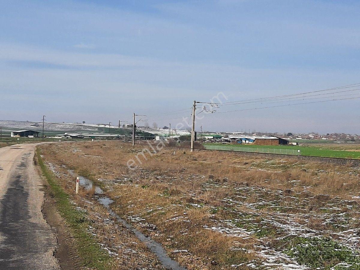 Lüleburgaz Ovacık'da 367 M2 — fotoğraf 18