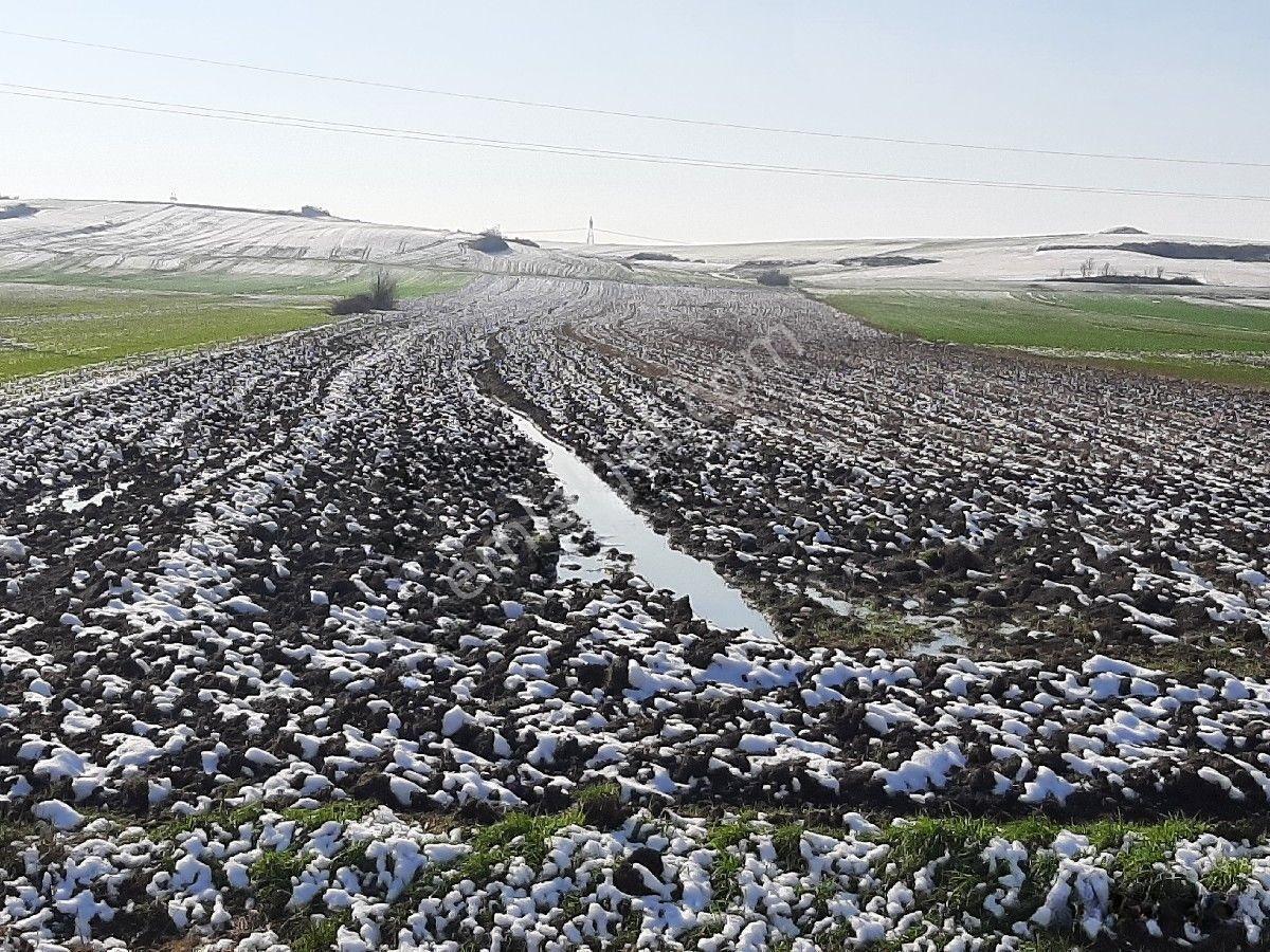 Lüleburgaz Ovacık'da 367 M2 — fotoğraf 19