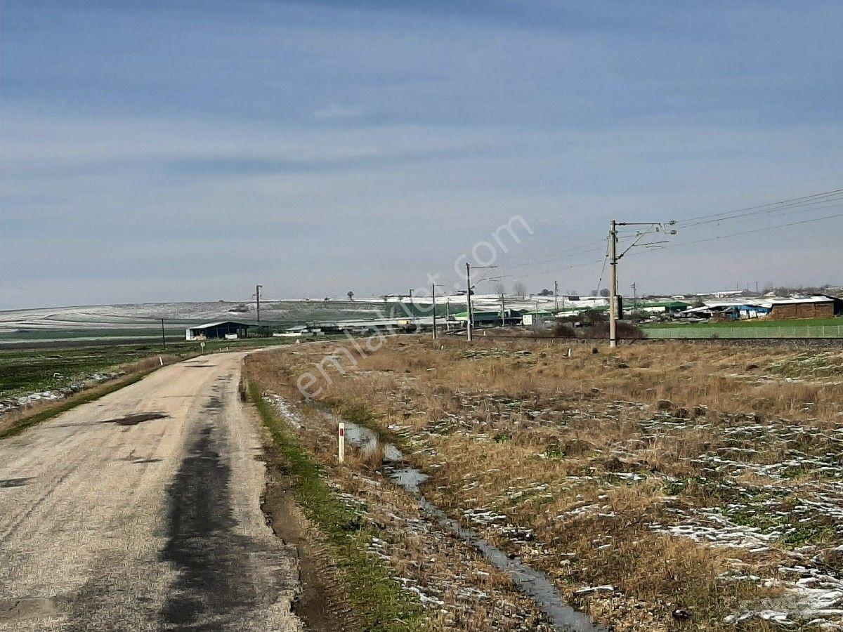 Lüleburgaz Ovacık'da 367 M2 — fotoğraf 26