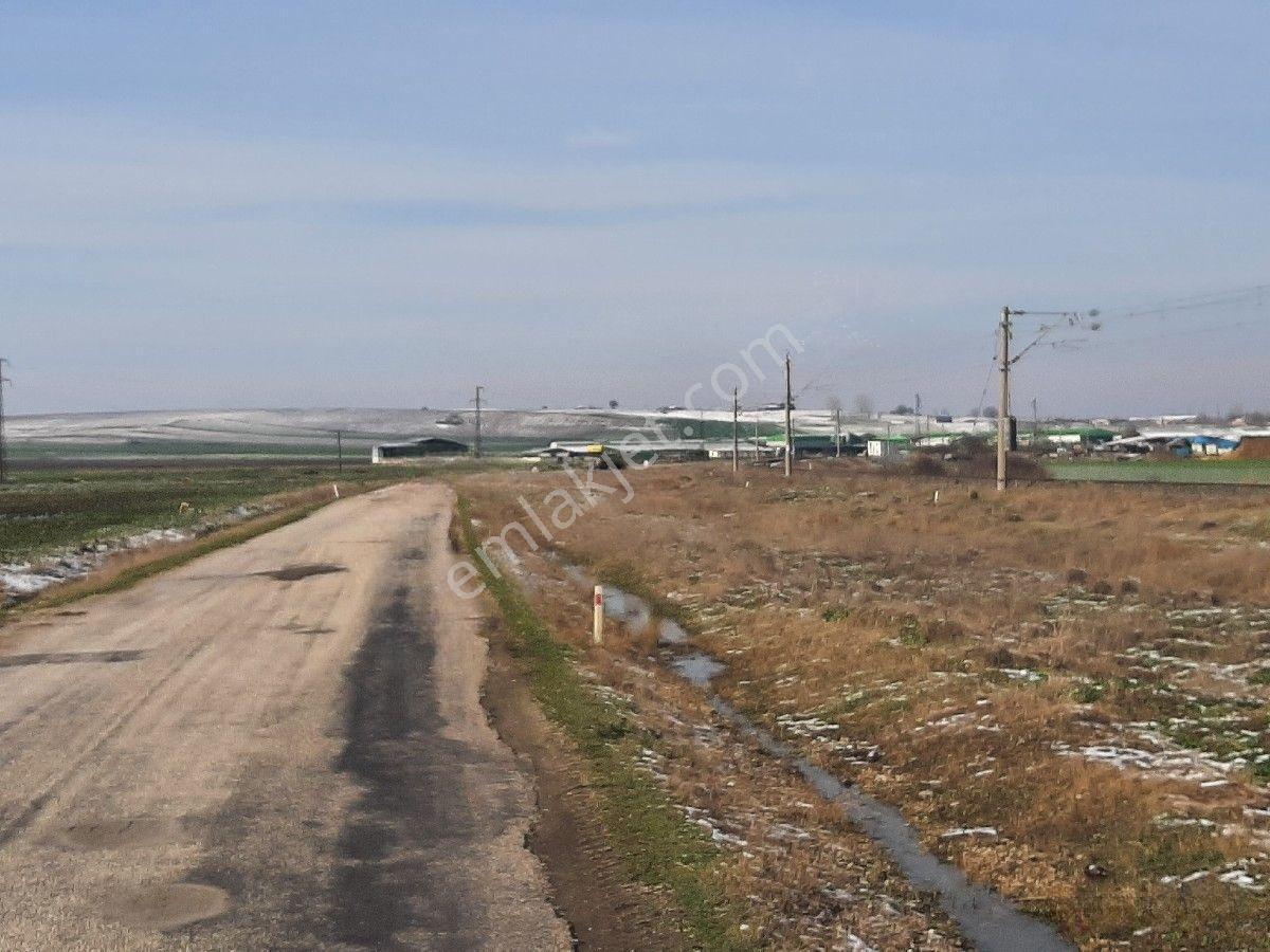 Lüleburgaz Ovacık'da 367 M2 — fotoğraf 28