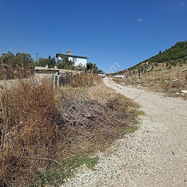 İzmir Aliağa Barbaros Hayrettinpaşa 149 M2 Satılık Bahçe — fotoğraf 5