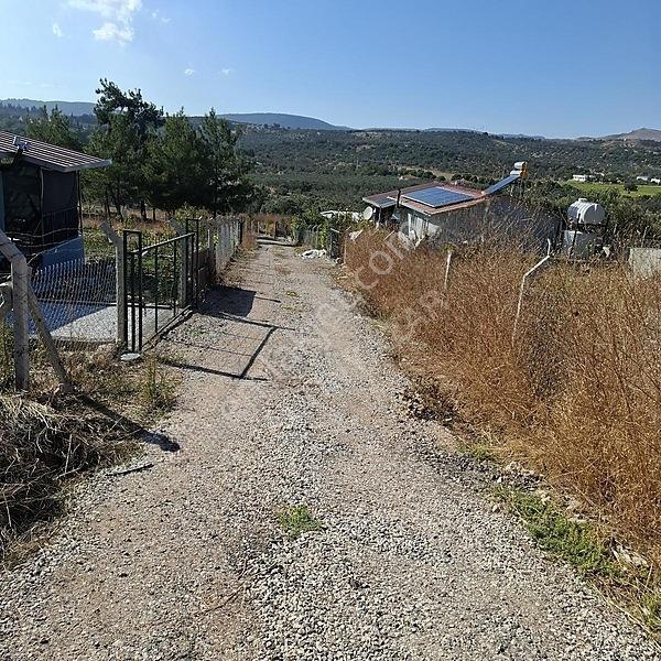 İzmir Aliağa Barbaros Hayrettinpaşa 149 M2 Satılık Bahçe — fotoğraf 7