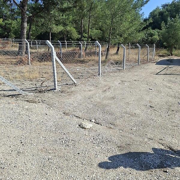 İzmir Aliağa Barbaros Hayrettinpaşa 149 M2 Satılık Bahçe — fotoğraf 8