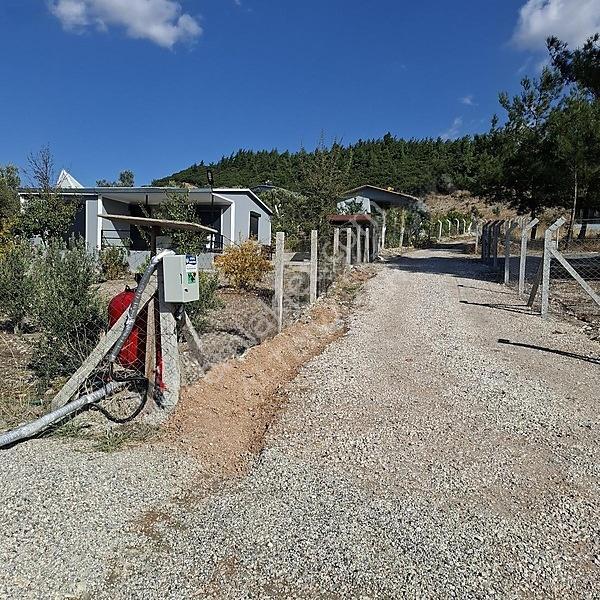 İzmir Aliağa Barbaros Hayrettinpaşa 149 M2 Satılık Bahçe — fotoğraf 9