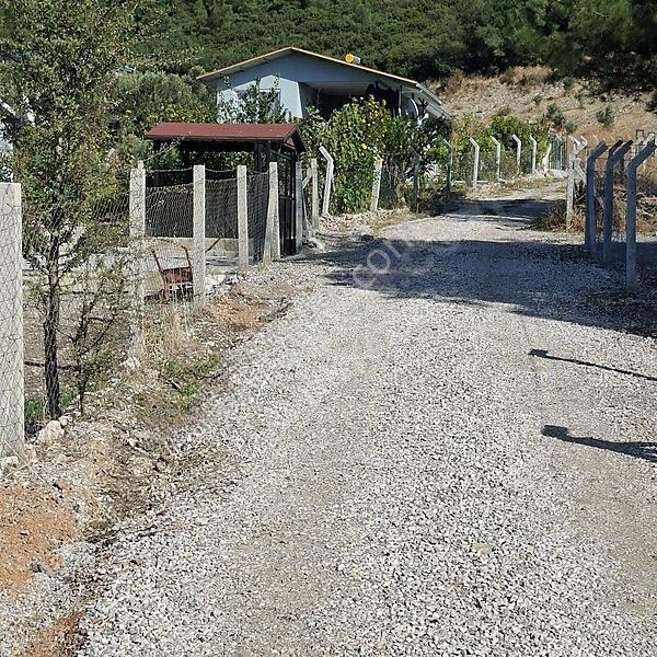 İzmir Aliağa Barbaros Hayrettinpaşa 149 M2 Satılık Bahçe — fotoğraf 11