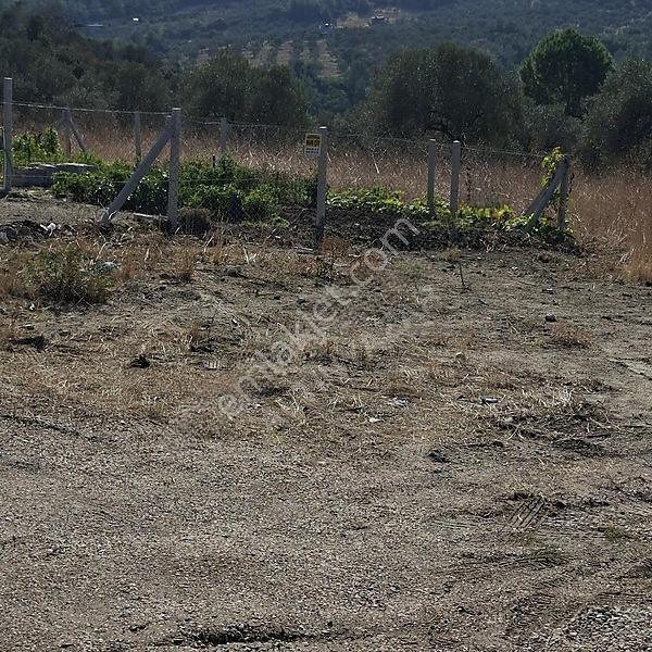 İzmir Aliağa Barbaros Hayrettinpaşa 149 M2 Satılık Bahçe — fotoğraf 17
