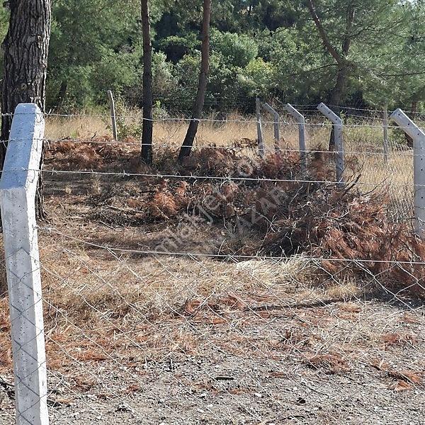 İzmir Aliağa Barbaros Hayrettinpaşa 149 M2 Satılık Bahçe — fotoğraf 19