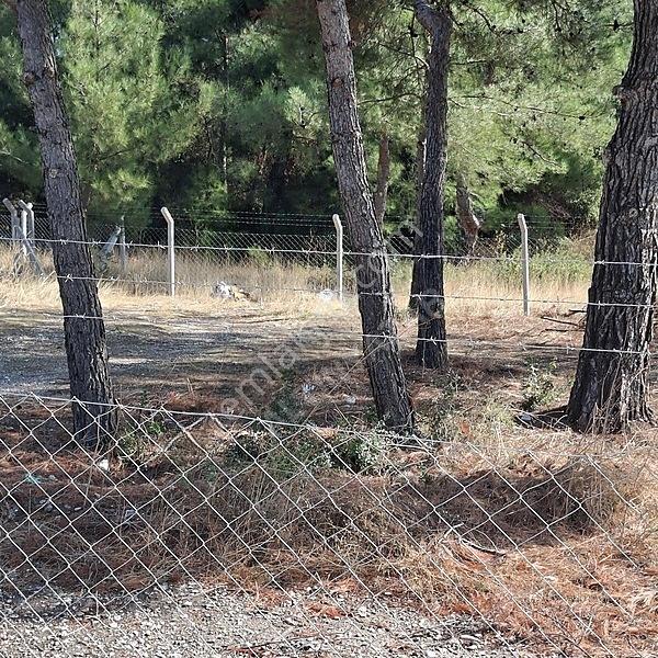 İzmir Aliağa Barbaros Hayrettinpaşa 149 M2 Satılık Bahçe — fotoğraf 22