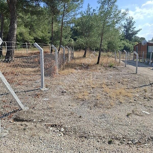 İzmir Aliağa Barbaros Hayrettinpaşa 149 M2 Satılık Bahçe — fotoğraf 27