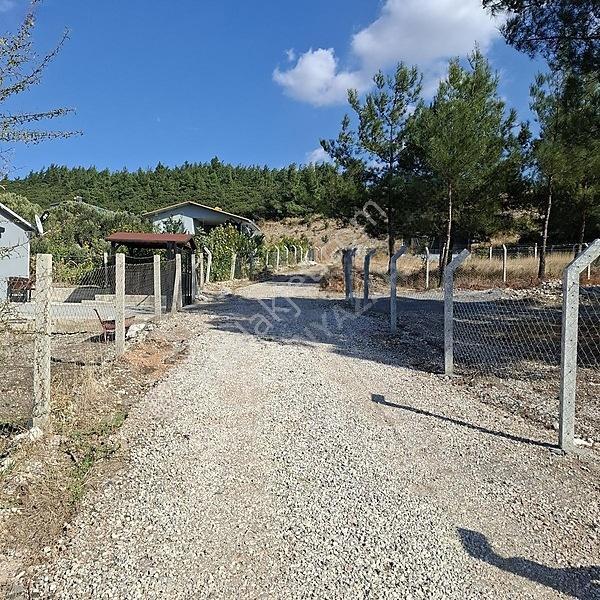 İzmir Aliağa Barbaros Hayrettinpaşa 149 M2 Satılık Bahçe — fotoğraf 29