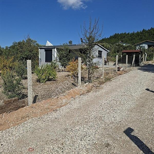İzmir Aliağa Barbaros Hayrettinpaşa 149 M2 Satılık Bahçe — fotoğraf 31