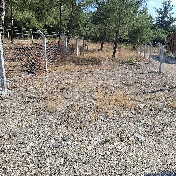 İzmir Aliağa Barbaros Hayrettinpaşa 149 M2 Satılık Bahçe — fotoğraf 33
