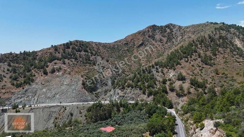 Dalamanda Satılık Tek Tapu Büyük Tarla — fotoğraf 2