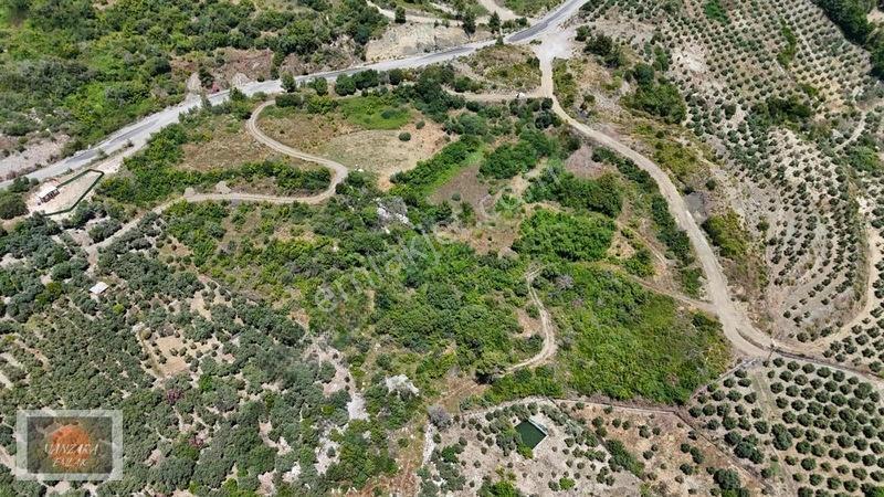 Dalamanda Satılık Tek Tapu Büyük Tarla — fotoğraf 3