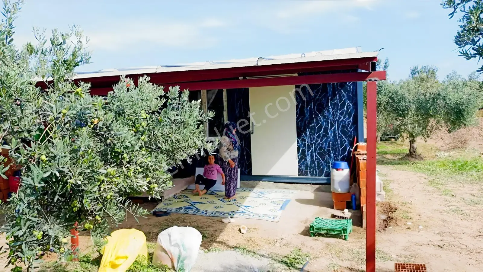 Burhaniye Kızıklı 22.049 M² 358 Zeytin Ağaçlı 4 Müstakil Tapulu — fotoğraf 5