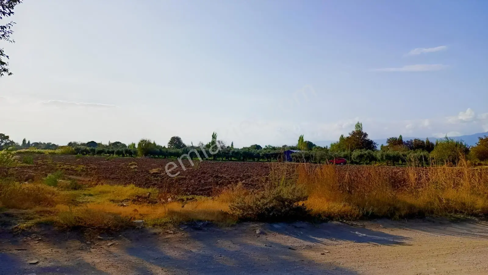 Burhaniye Kızıklı 22.049 M² 358 Zeytin Ağaçlı 4 Müstakil Tapulu — fotoğraf 12