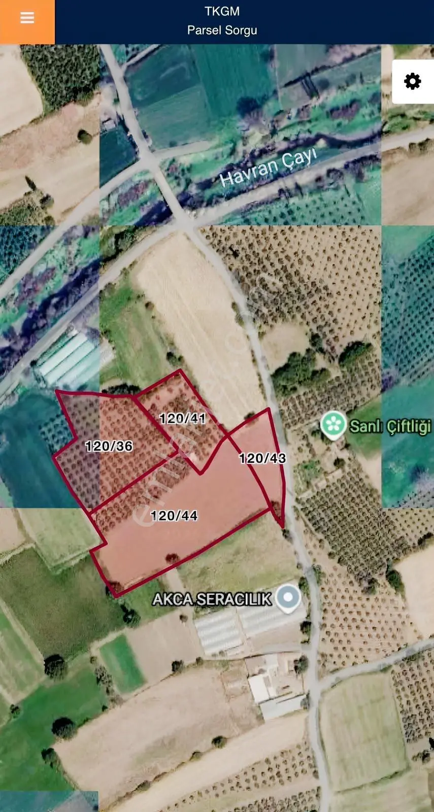Burhaniye Kızıklı 22.049 M² 358 Zeytin Ağaçlı 4 Müstakil Tapulu — fotoğraf 18