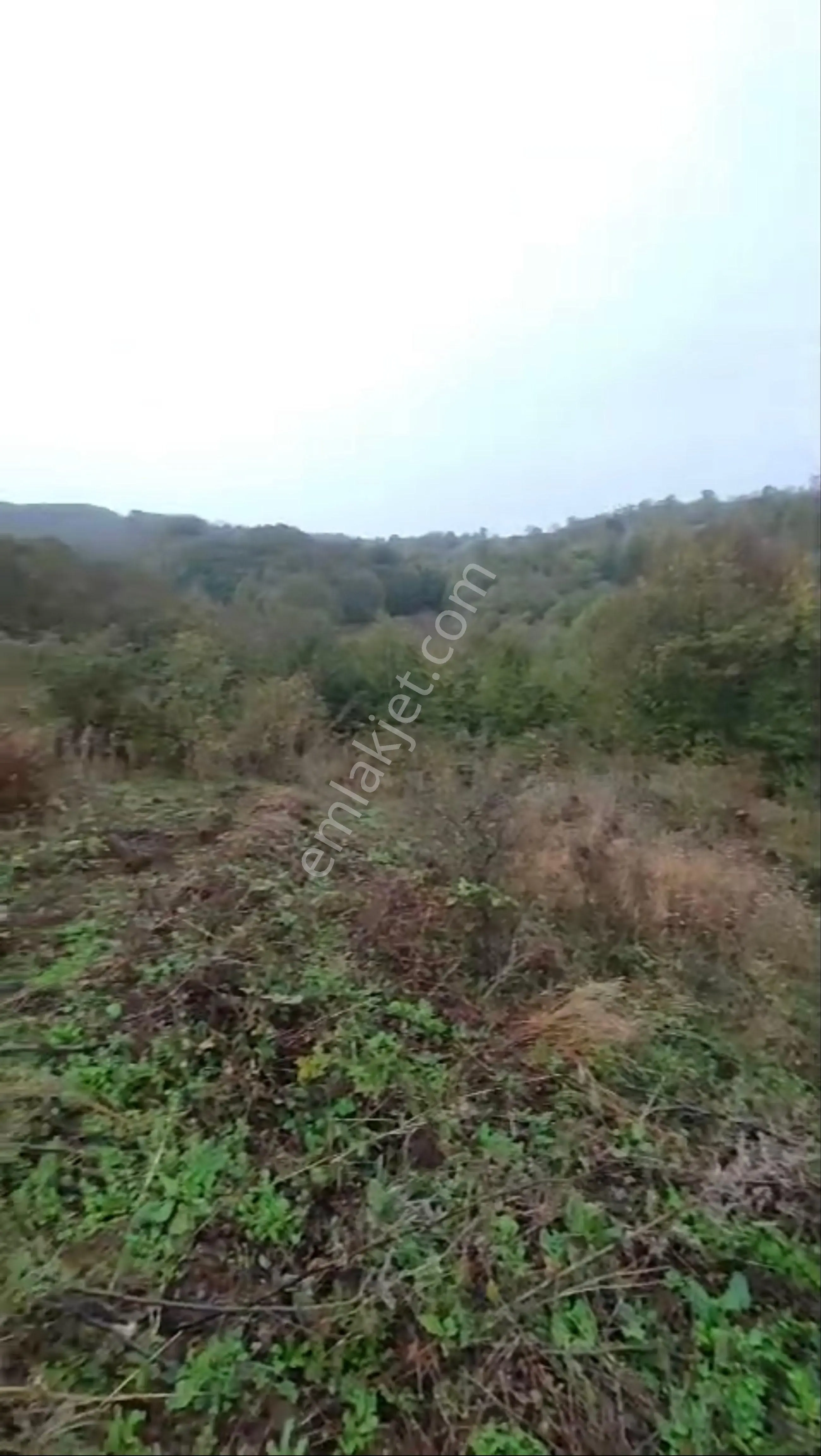 Balcity - Gönen Çobanhamidiye Köyünde 7.212 M2 Resmi Yola Cephe Tarla — fotoğraf 3