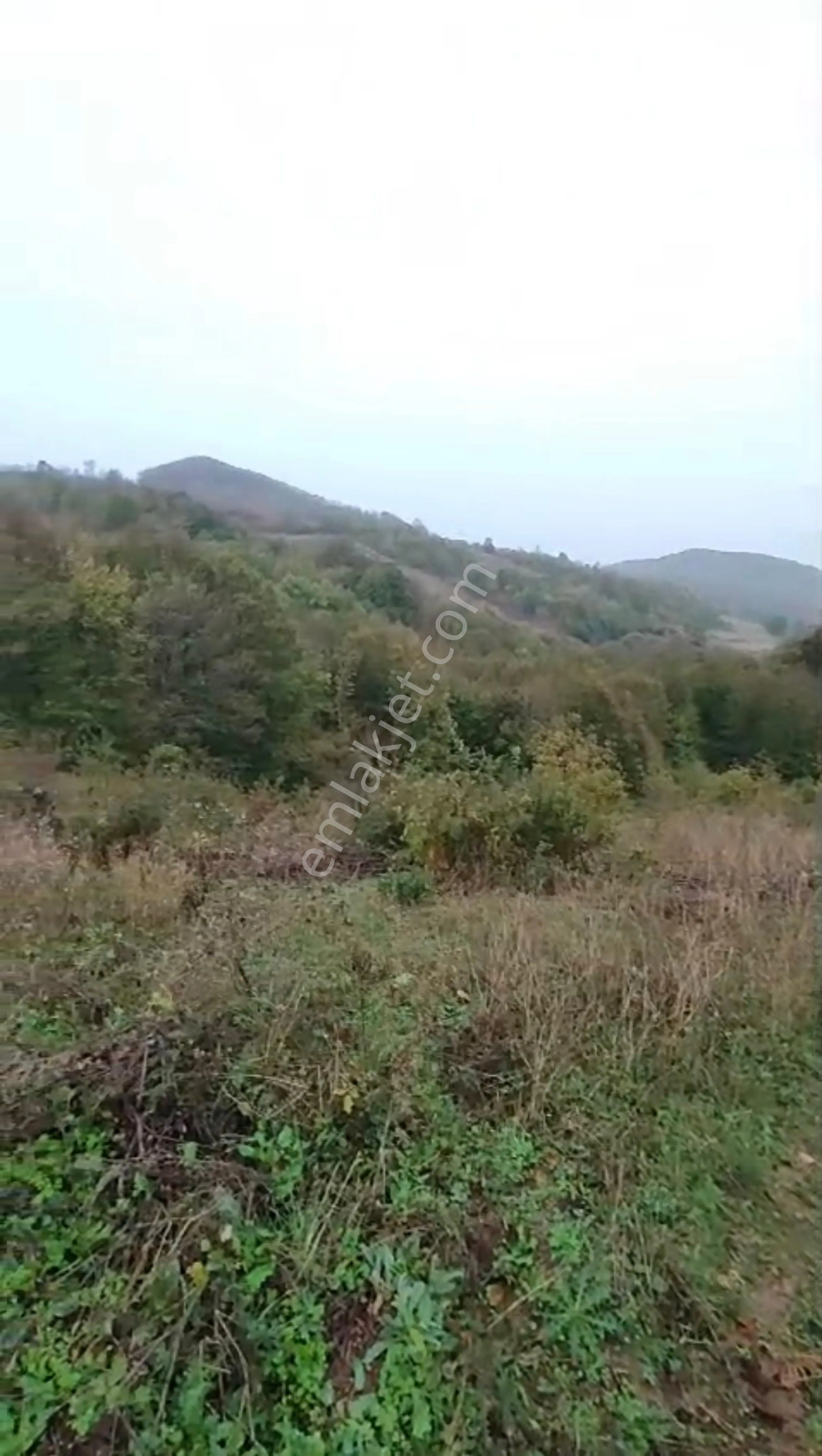 Balcity - Gönen Çobanhamidiye Köyünde 7.212 M2 Resmi Yola Cephe Tarla — fotoğraf 4