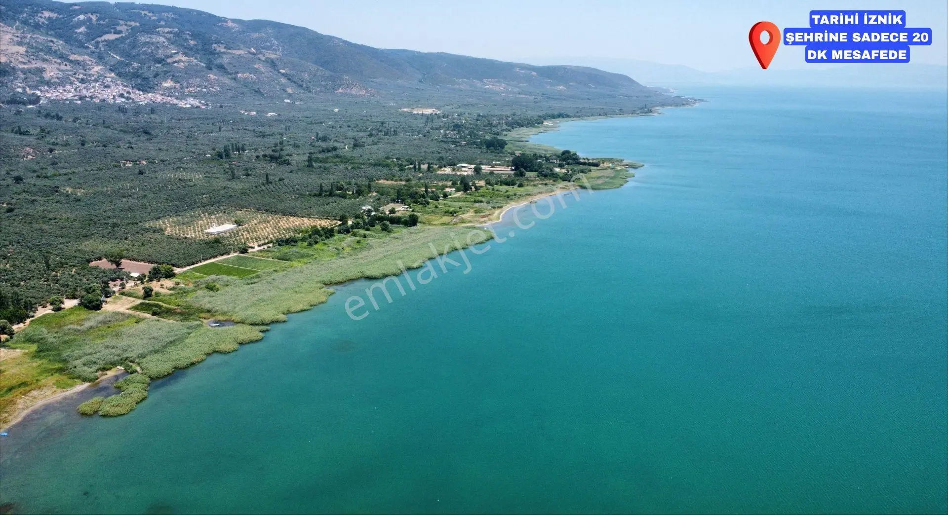 İznik Mahmudiye Köyünde Göl Manzaralı Yola Cephe Zeytinlik