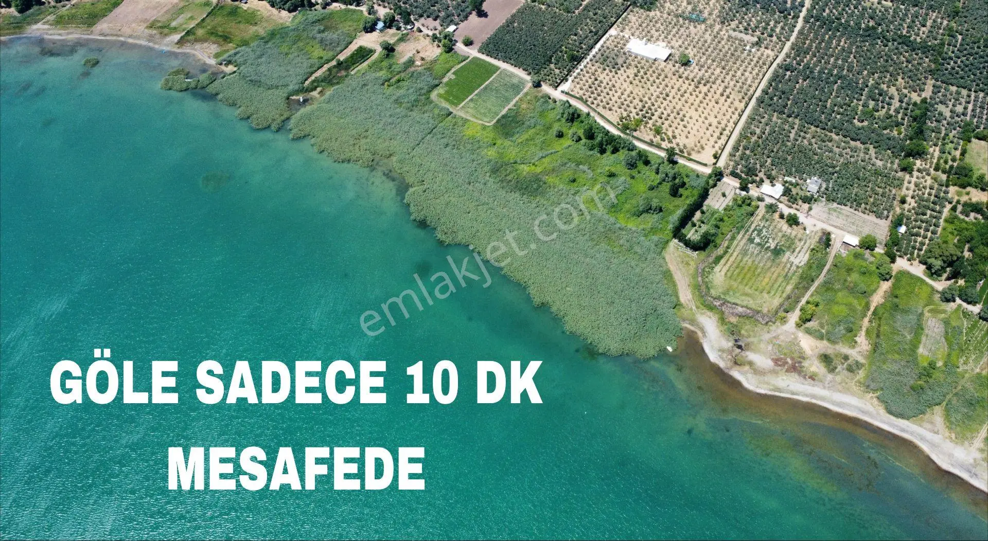 İznik Mahmudiye Köyünde Göl Manzaralı Yola Cephe Zeytinlik — fotoğraf 2