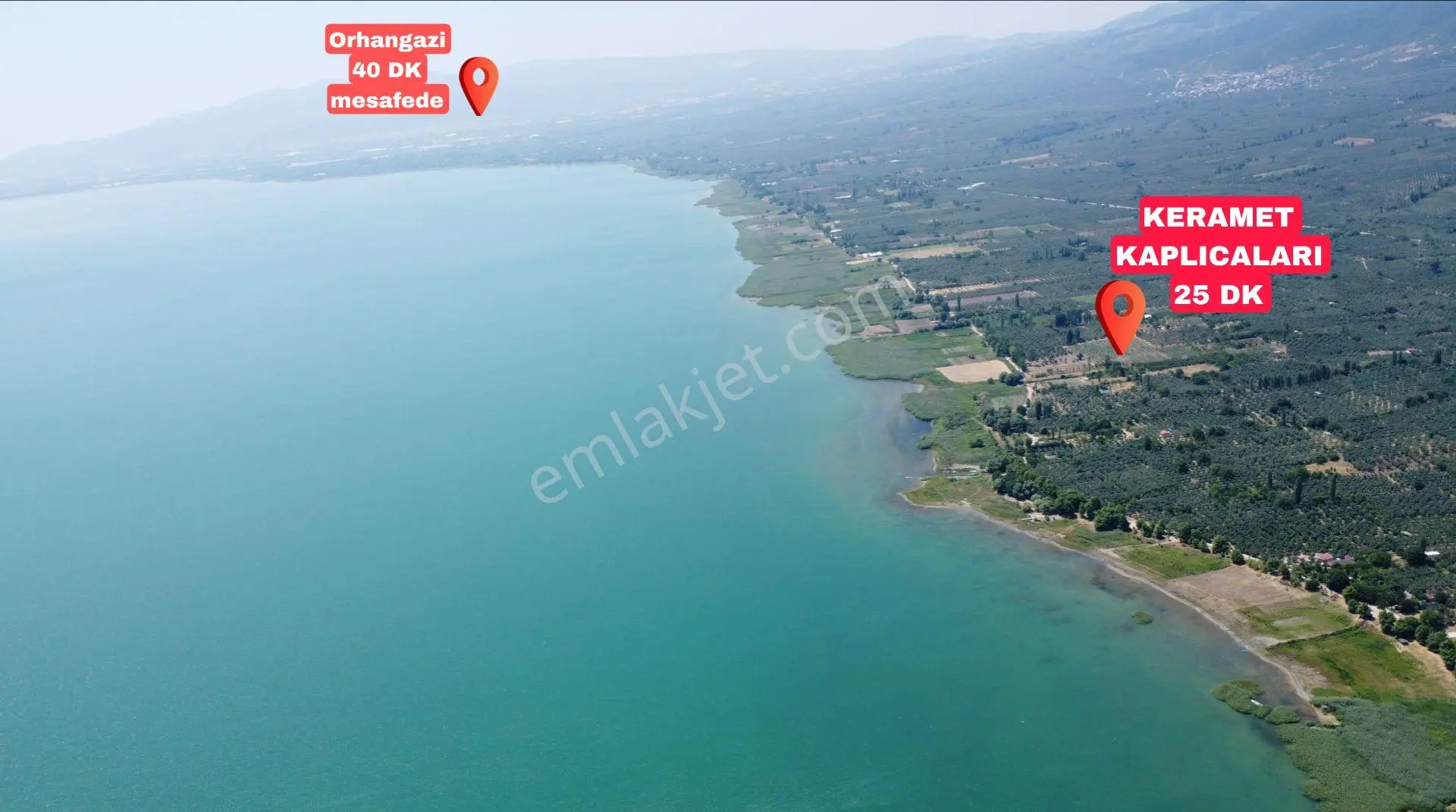 İznik Mahmudiye Köyünde Göl Manzaralı Yola Cephe Zeytinlik — fotoğraf 3
