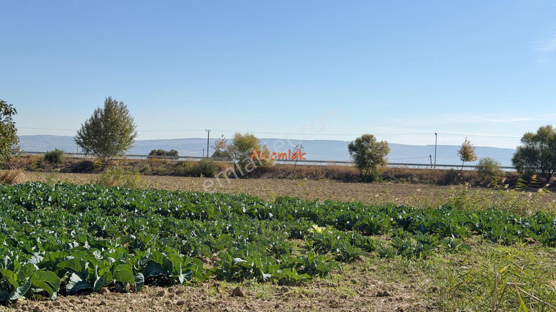 Gelibolu Sütlüce'de Köprü Manzaralı,yola Cepheli 9507.83 M2 Arazi — fotoğraf 10