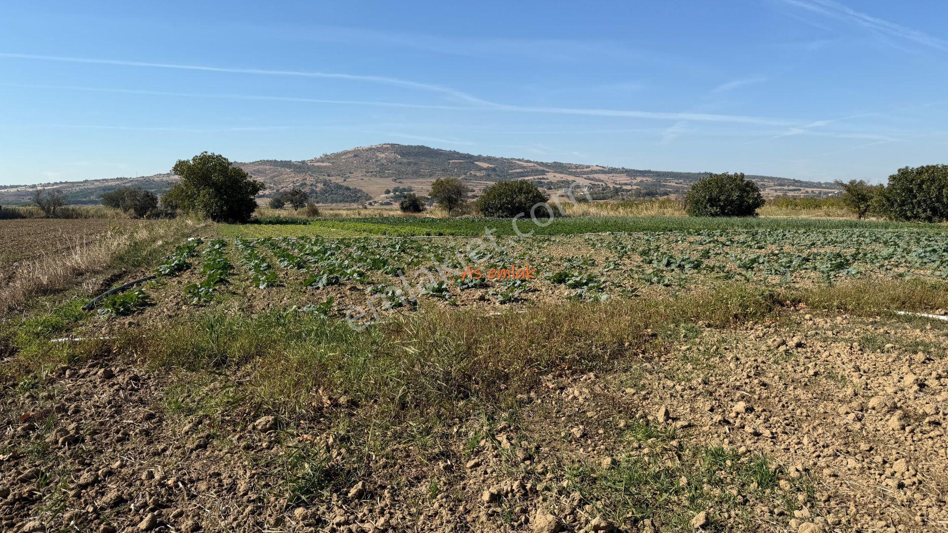 Gelibolu Sütlüce'de Köprü Manzaralı,yola Cepheli 9507.83 M2 Arazi — fotoğraf 22