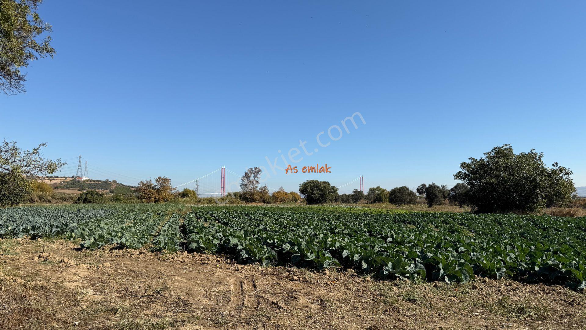 Gelibolu Sütlüce'de Köprü Manzaralı,yola Cepheli 9507.83 M2 Arazi — fotoğraf 27