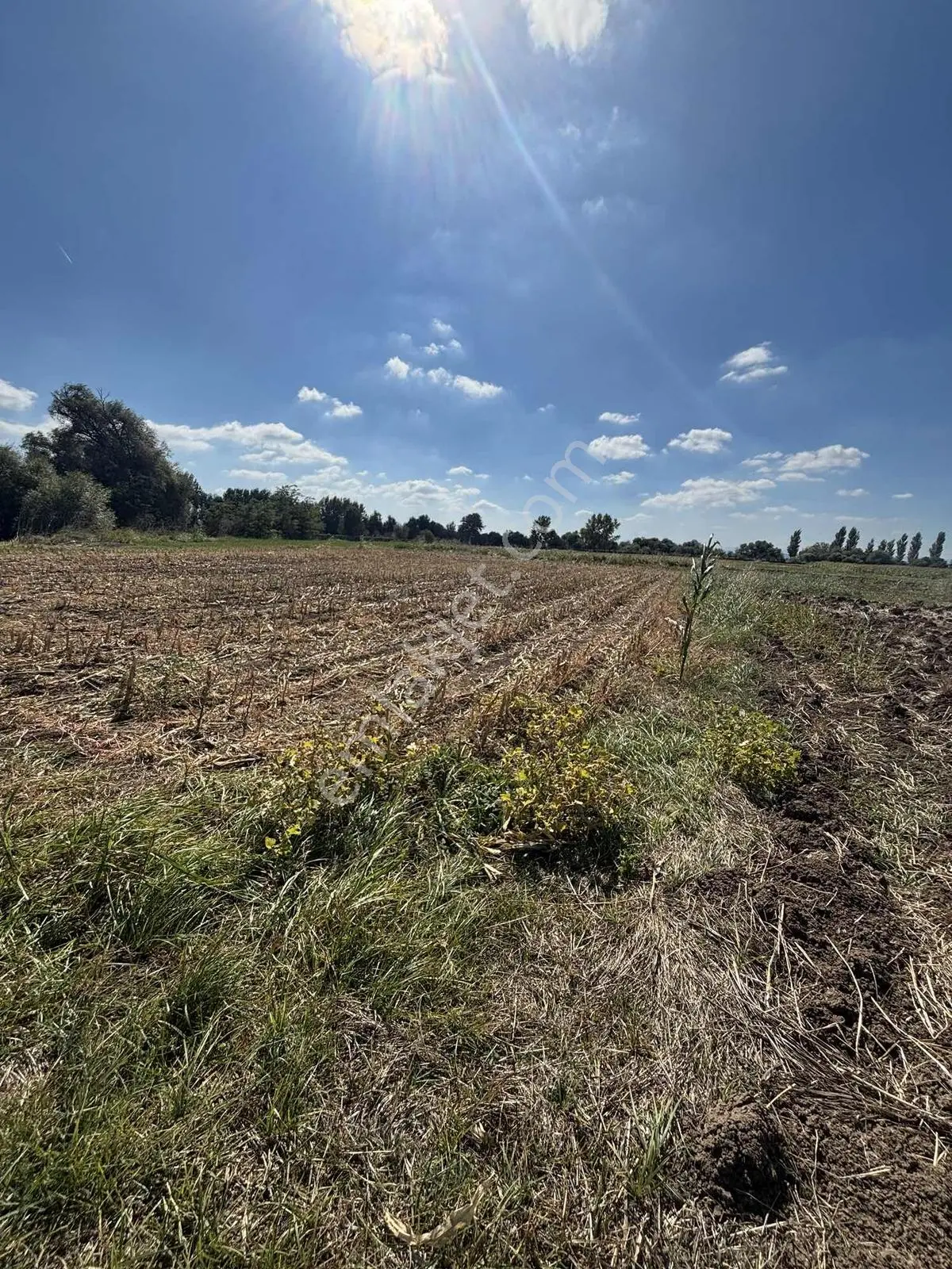 Balcity-altıeylül/karaman Mah.yanyana 2 Adet Tek Tapu-tek Fiyat — fotoğraf 25