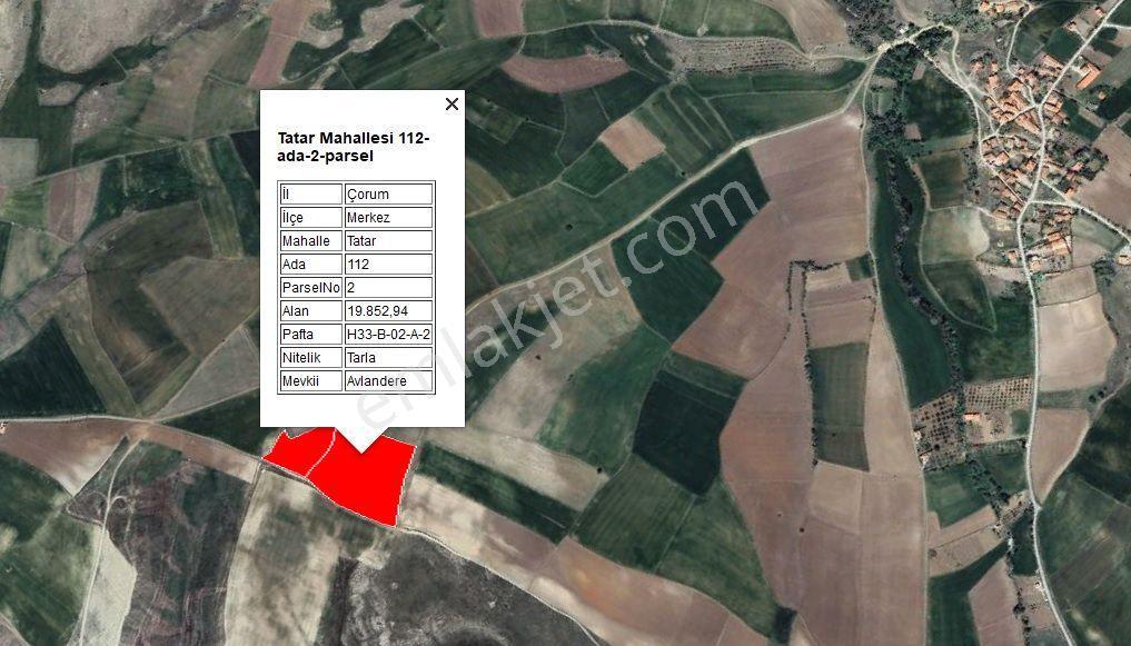 Çorum Osb Yakını 26 Dönüm Yatırımlık Tarla — fotoğraf 2