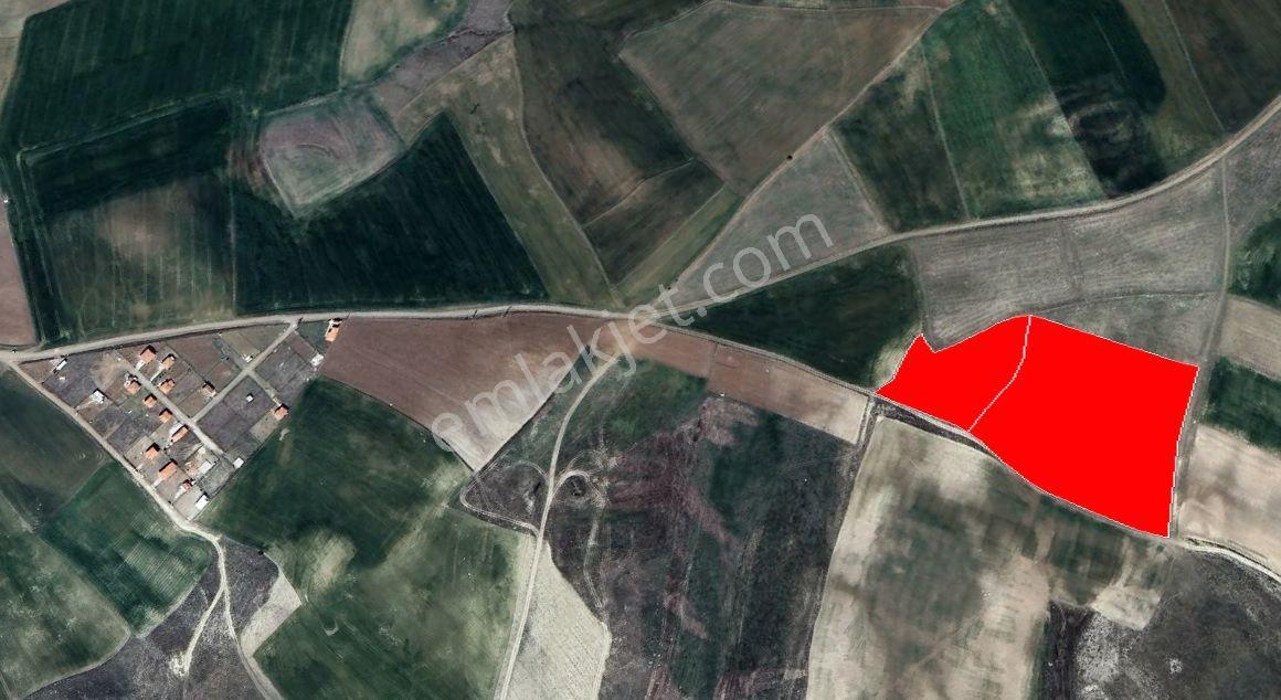 Çorum Osb Yakını 26 Dönüm Yatırımlık Tarla — fotoğraf 3