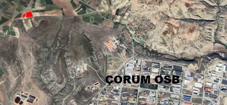 Çorum Osb Yakını 26 Dönüm Yatırımlık Tarla — fotoğraf 4