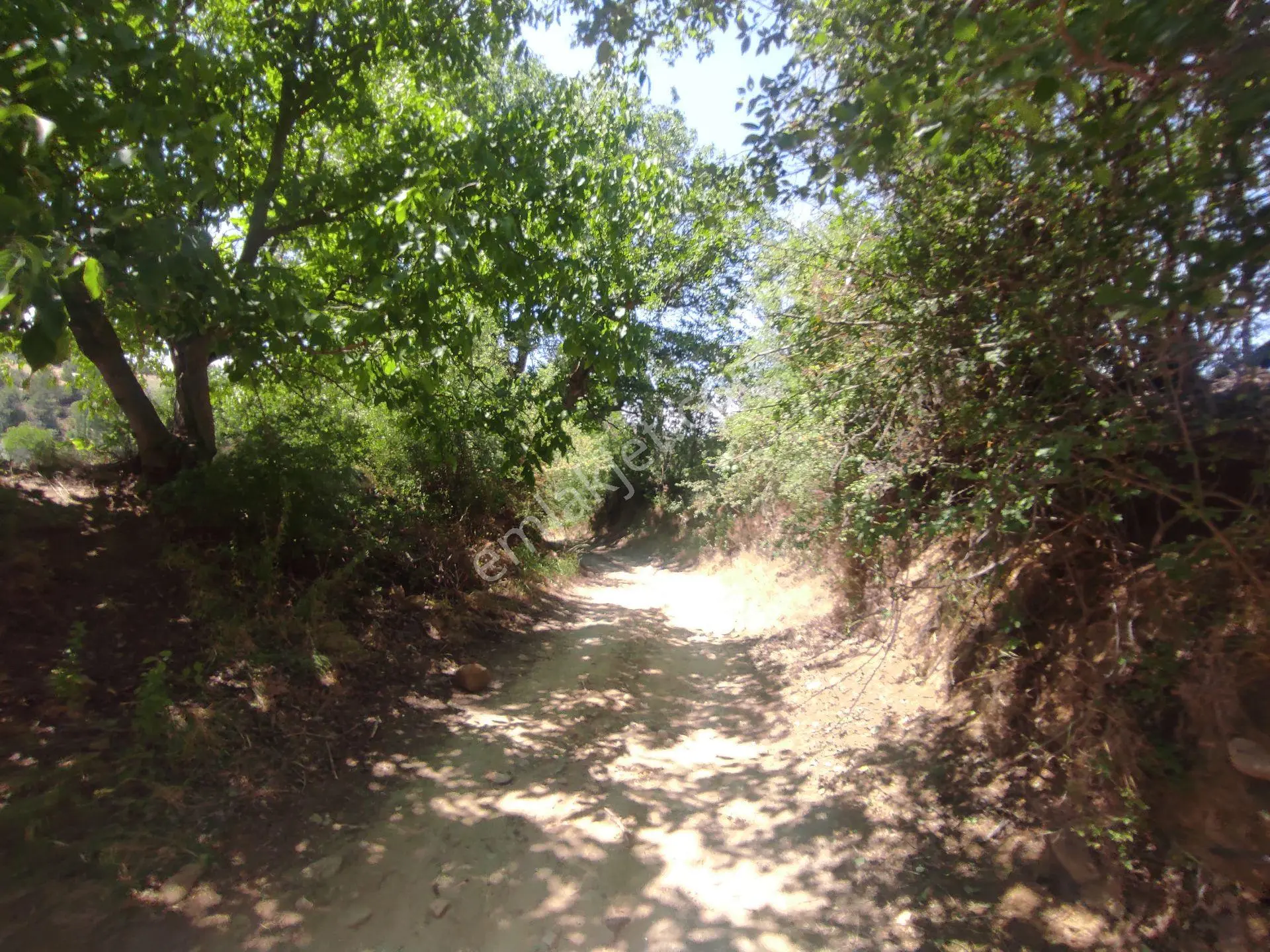 Kütahya Pazarlar Yakuplar Atatürk Mah Yolu Olan Köye Yakın 4712,M2-Tarla