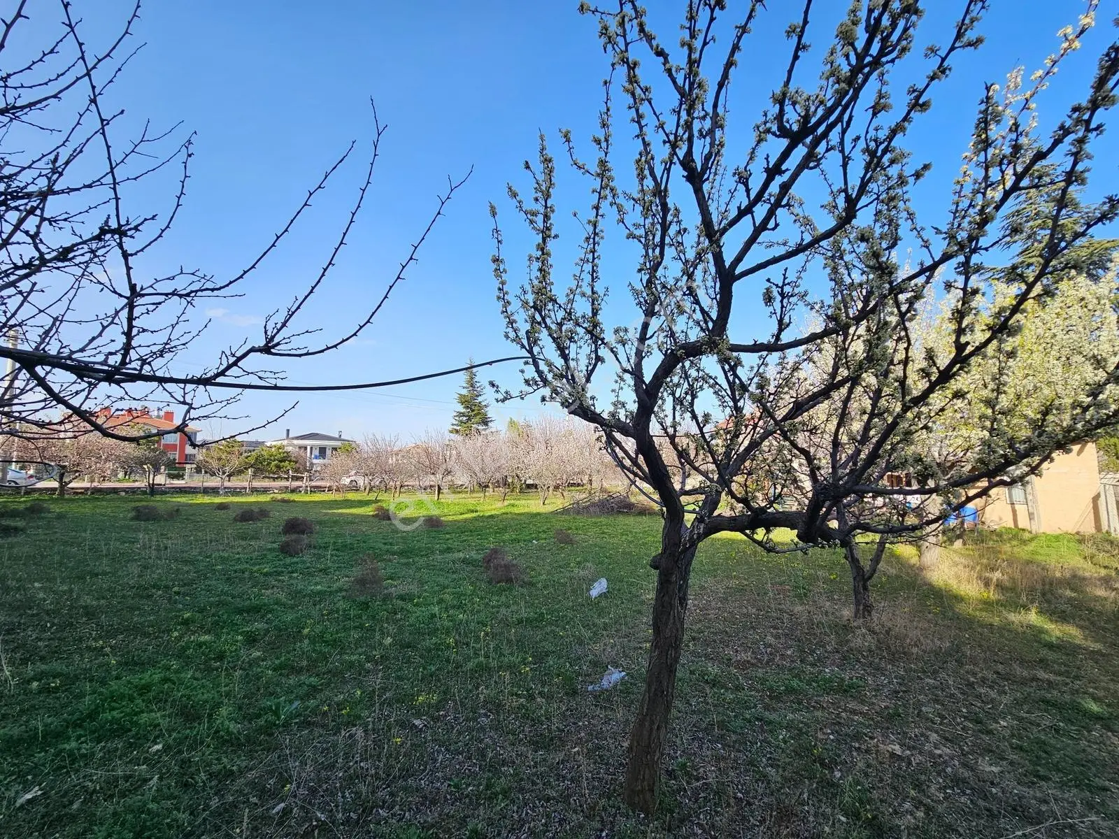 İşyapar'dan Buhara Mah. 2 Kata İmarlı 1844 M² Köşe Parsel Arsa — fotoğraf 22