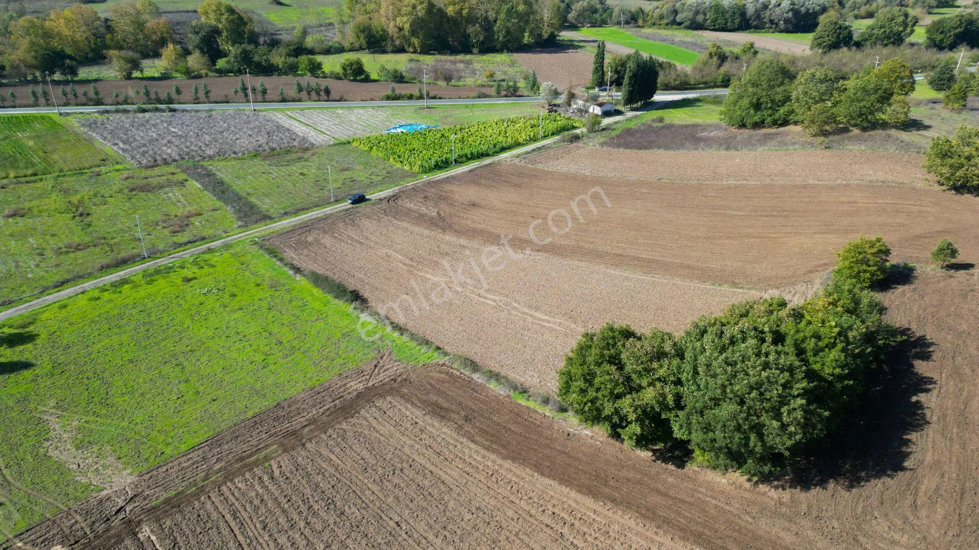 Uzmanlar'dan Çamdibi Meşelik Satılık 3351 M2 Tarla — fotoğraf 5