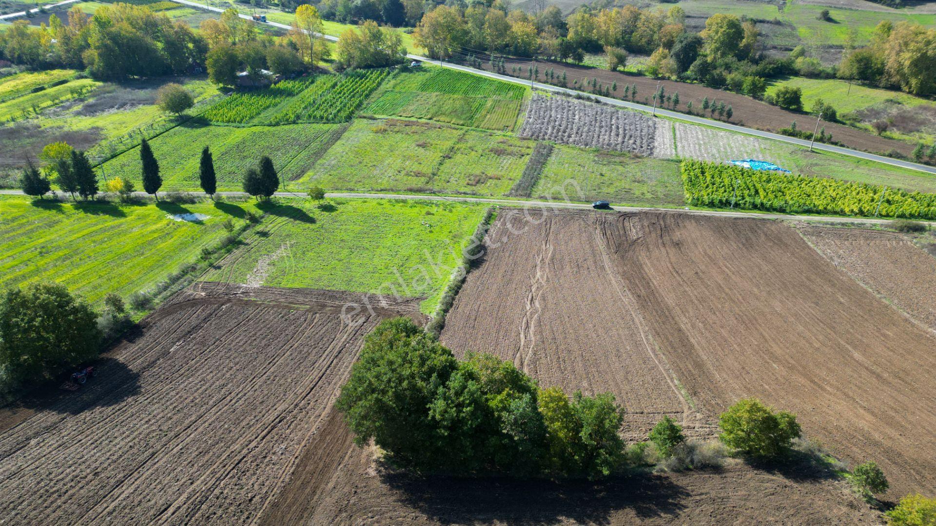 Uzmanlar'dan Çamdibi Meşelik Satılık 3351 M2 Tarla — fotoğraf 6