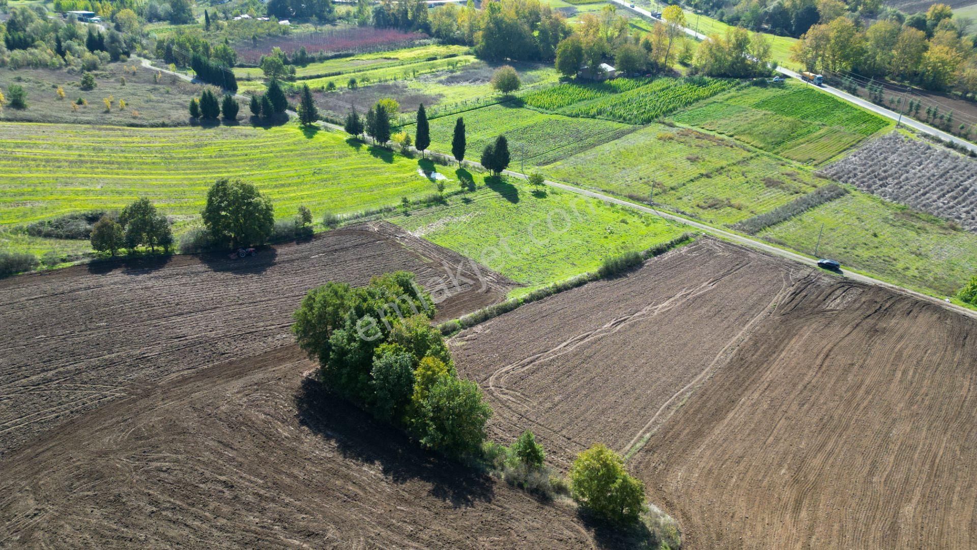 Uzmanlar'dan Çamdibi Meşelik Satılık 3351 M2 Tarla — fotoğraf 7