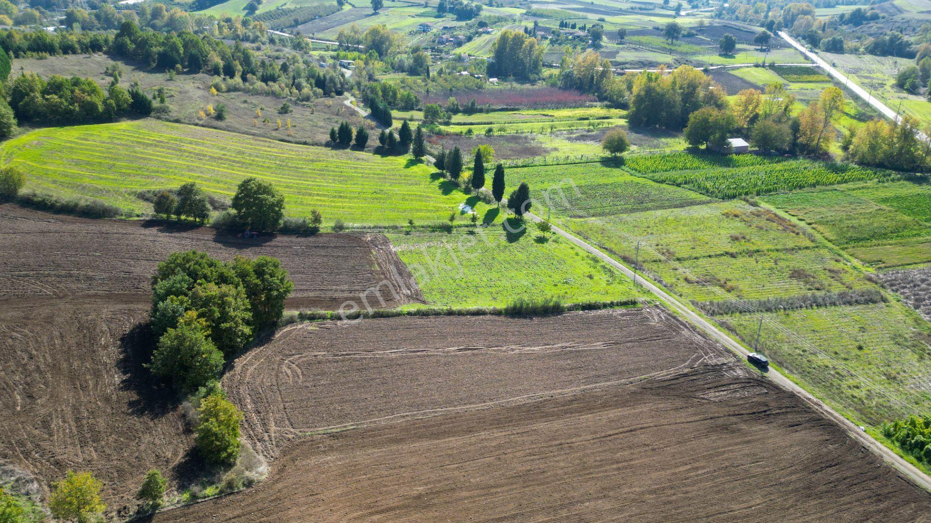 Uzmanlar'dan Çamdibi Meşelik Satılık 3351 M2 Tarla — fotoğraf 8