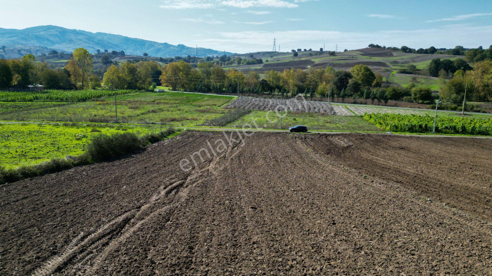 Uzmanlar'dan Çamdibi Meşelik Satılık 3351 M2 Tarla — fotoğraf 9