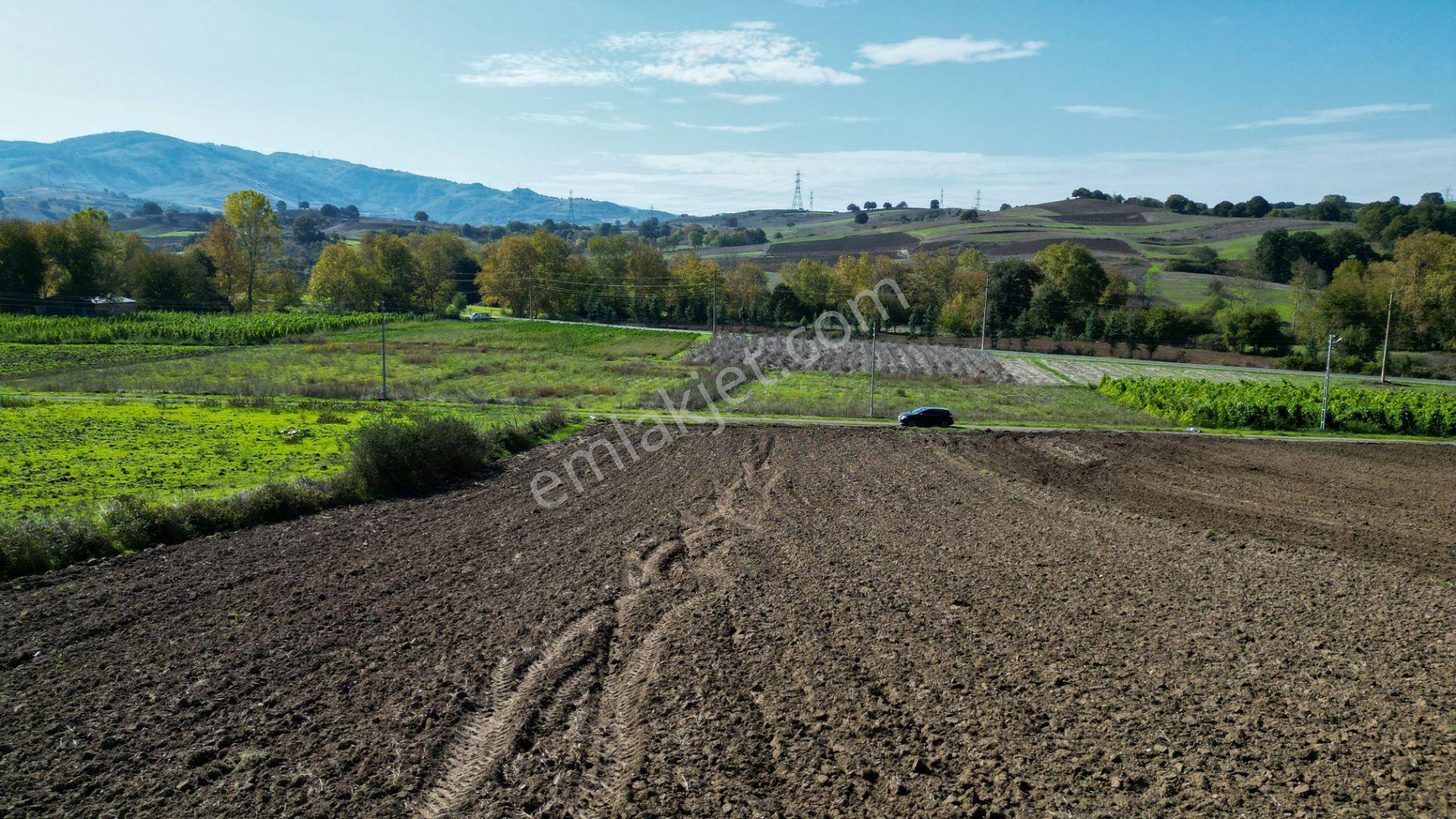 Uzmanlar'dan Çamdibi Meşelik Satılık 3351 M2 Tarla — fotoğraf 10