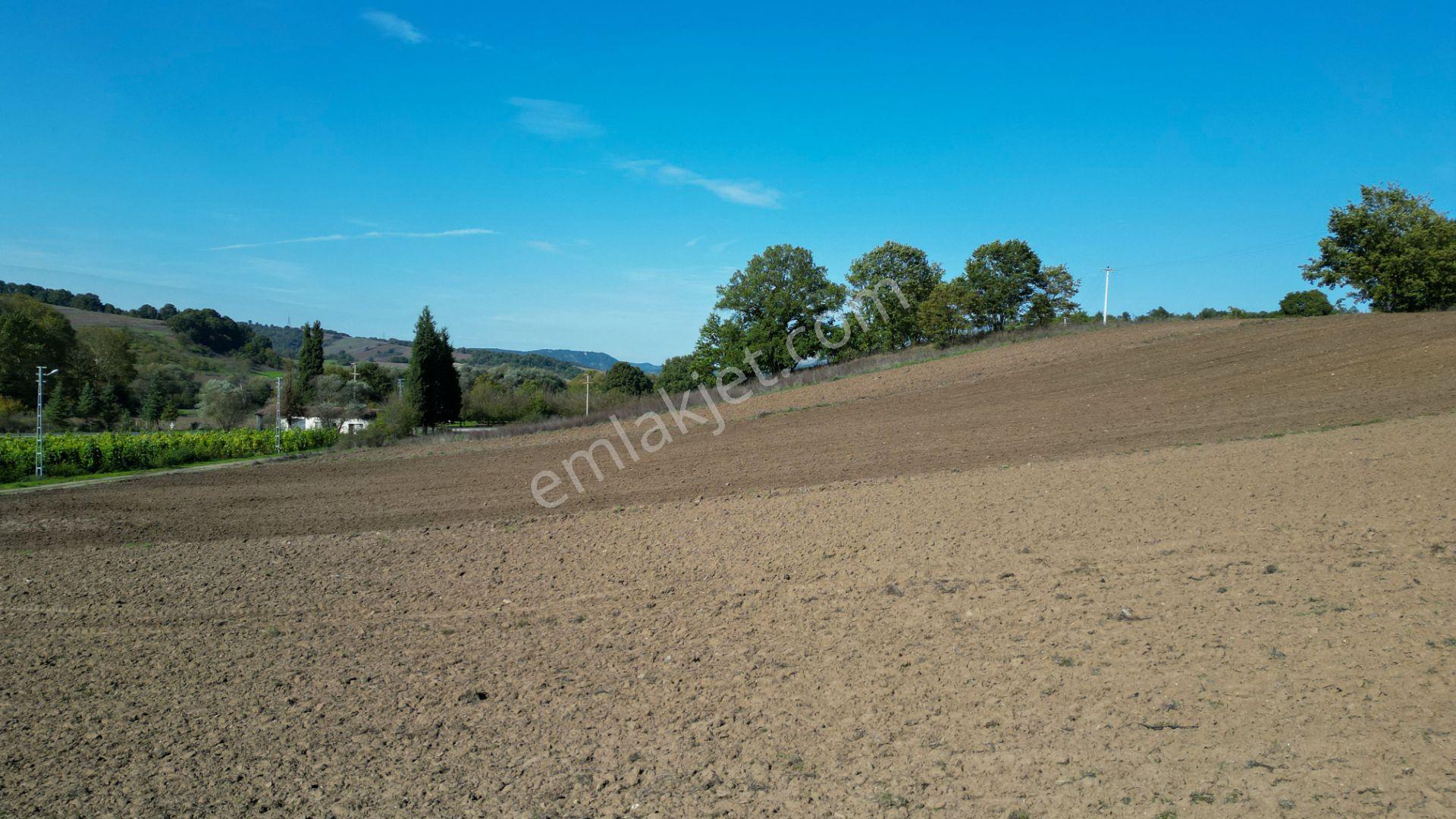 Uzmanlar'dan Çamdibi Meşelik Satılık 3351 M2 Tarla — fotoğraf 11